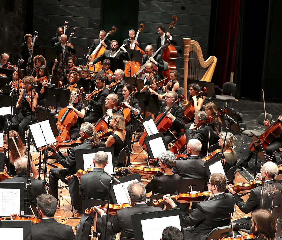 La classe di Haenchen: Review on L'Invito