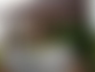 RENE CAOVILLA AW2019 Preview