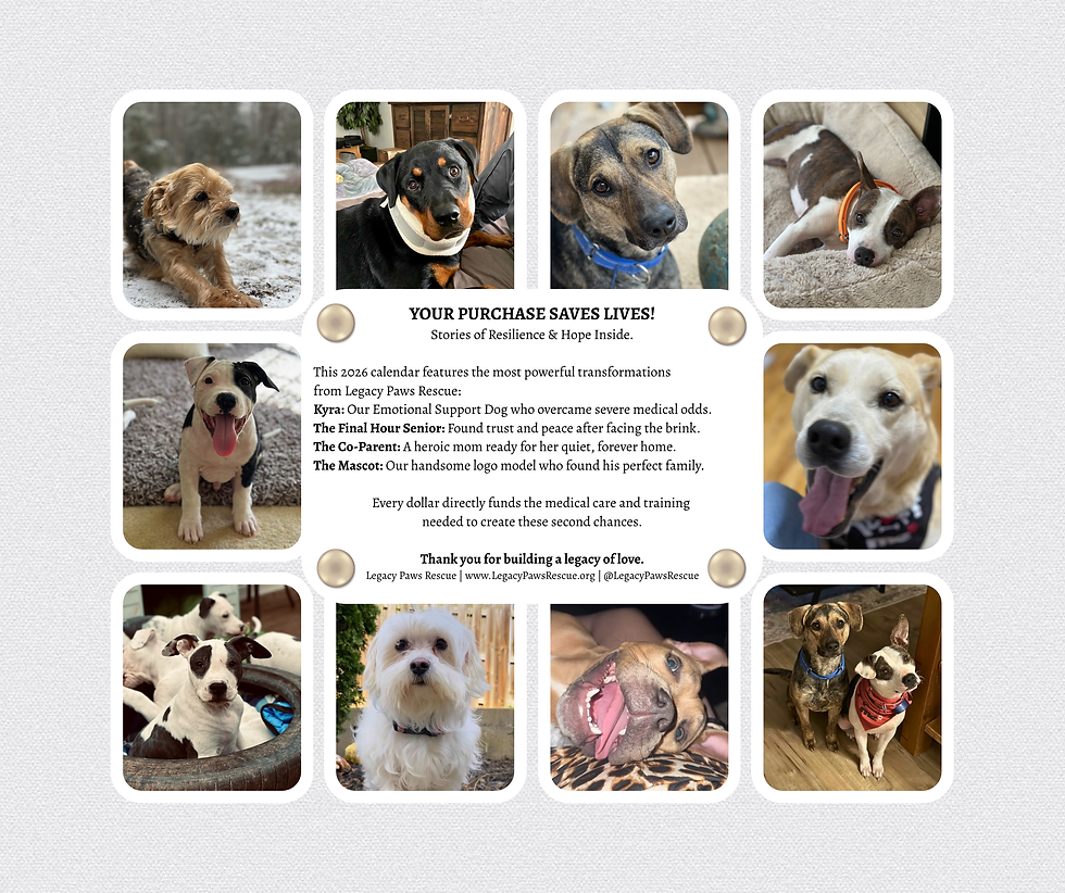 Thumbnail: 2026 Legacy Paws Rescue Calendar | Before & After Rescue Dog Photos | Veteran-Ow