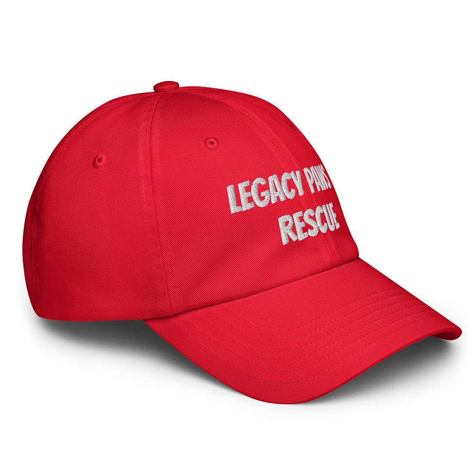 Thumbnail: LEGACY PAWS RESCUE Under Armour® dad hat