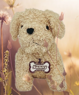 Screenshot 2026-01-29 154032.png