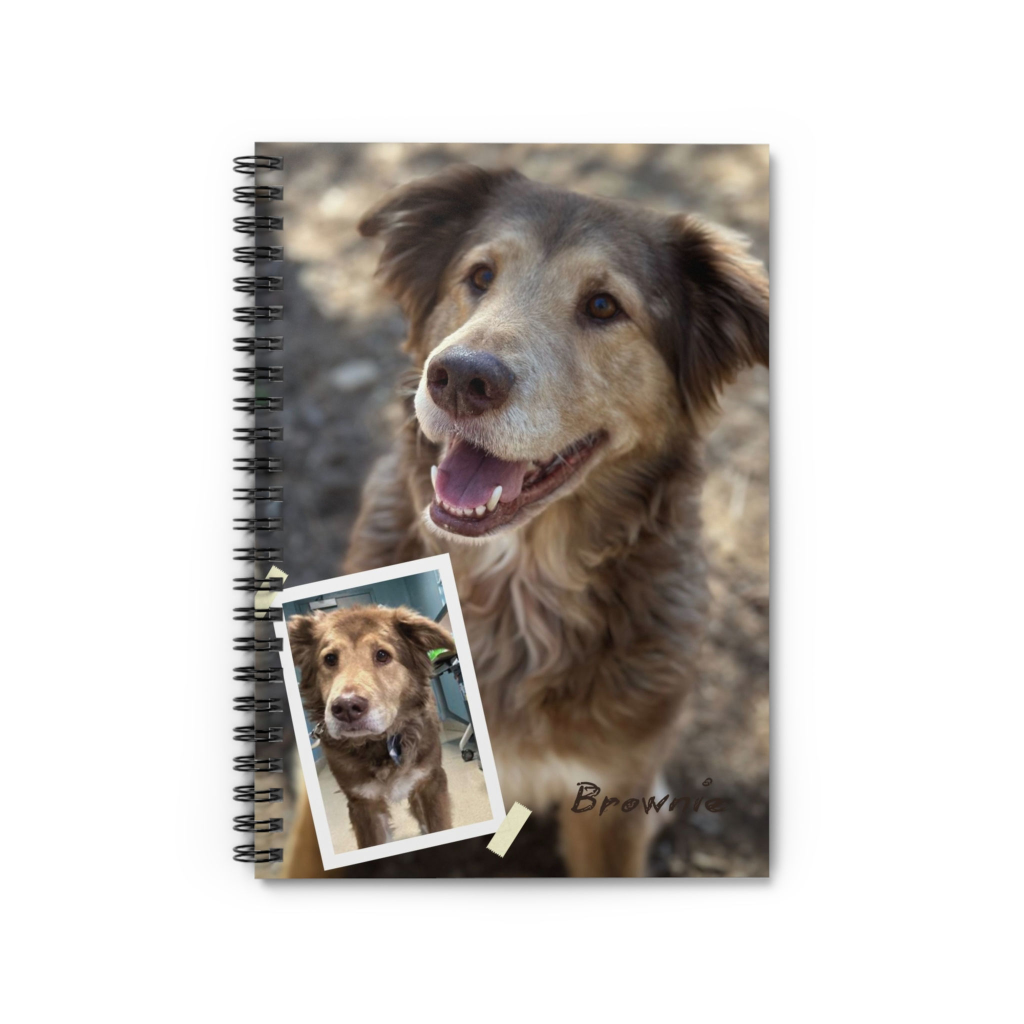 Rescue Dog Book: Brownie- Fundraiser for disabled veteran–owned dog rescue 501c3