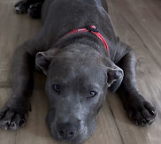 IMG_8140_edited.jpg