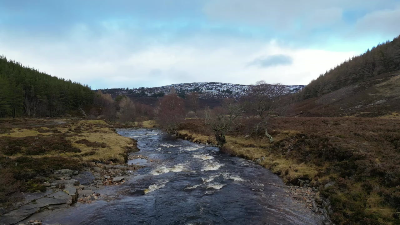 Wild Braemar Sauna in Braemar
