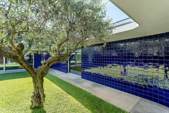 03 TROFA - cópia.jpeg