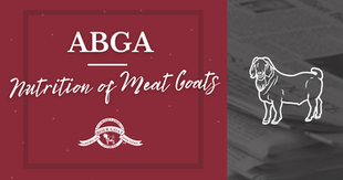 Nutrition of Meat Goats