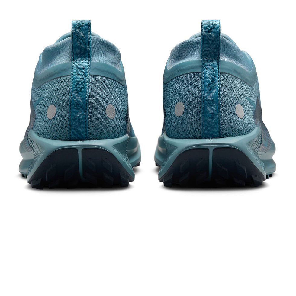 Miniature : Nike Pegasus Trail Gore Tex Taille 42