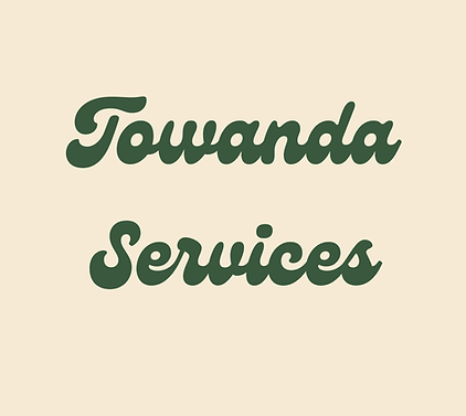 TS Logo 1.png