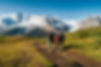 iStock-1446116776.jpg