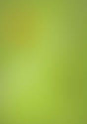 対話が生み出す新たな可能性 〜ナラティブセラピーとオープンダイアローグ〜