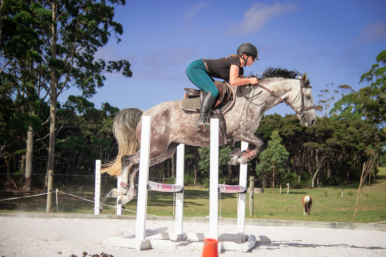 horse jumping, horse, horse riding, woman, sand