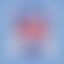 Os Feras Declara Apoio à FEFAM - Federação de Futsal do Amazonas.