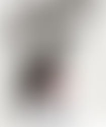 PALESTRA CONTRA A DISCRIMINAÇÃO NO ESPORTE E NA SOCIEDADE MOVIMENTA OS FERAS E SEUS ATLETAS