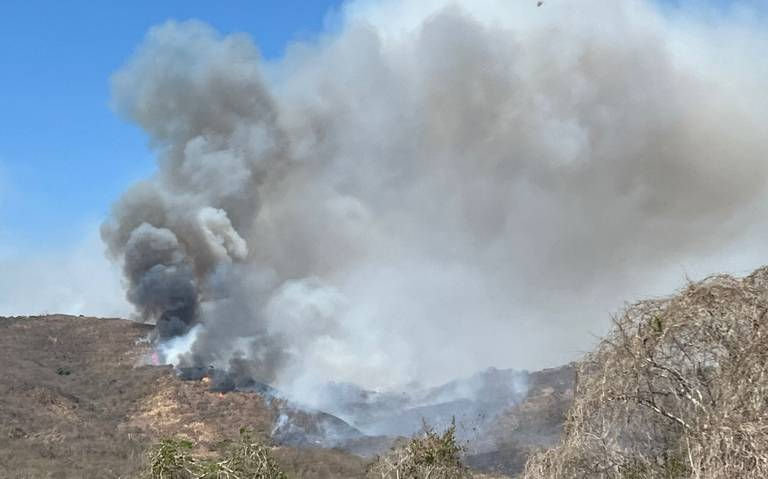 Incendios forestales en Guerrero: Se combaten cuatro sin alcanzar nivel de desastre