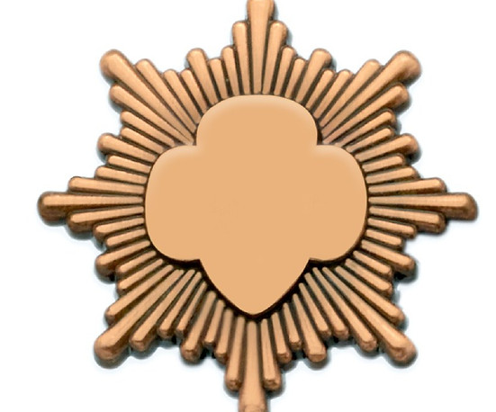 large-bronze-award-pin-2011_edited_edited_edited_edited.jpg