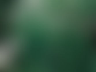 State of the Sector – Investment in Carbon Dioxide Removals (CDR) | Insight Report | 2025