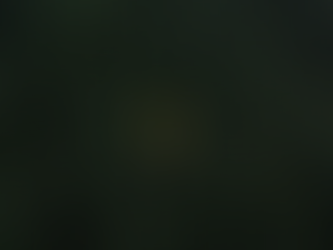 Afforestation and Reforrestation