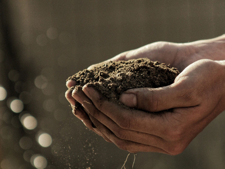 Enhanced Rock Weathering