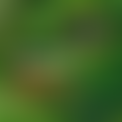 Designing Radical Adaptation: Why designers must lead the shift from collapse to regeneration