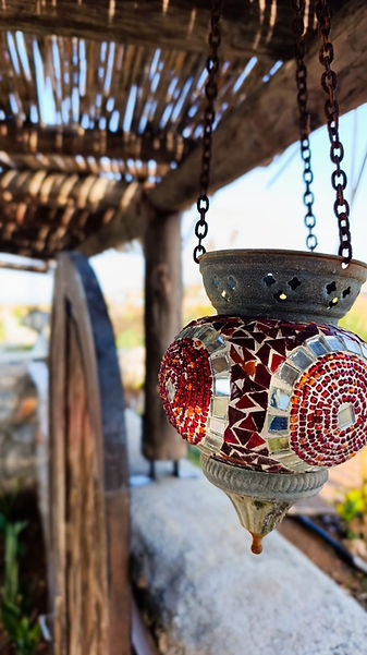 WhatsApp Image 2025-04-18 at 12.06.28 (1).jpeg