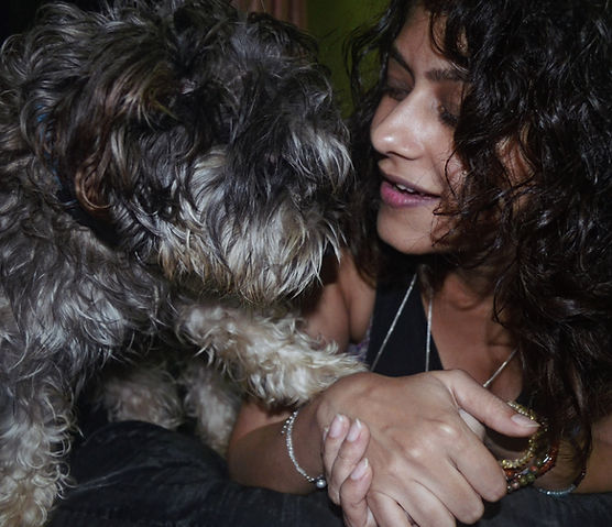 Human loving looking at dog for animal communication