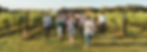 summer-celebration-tour.jpg
