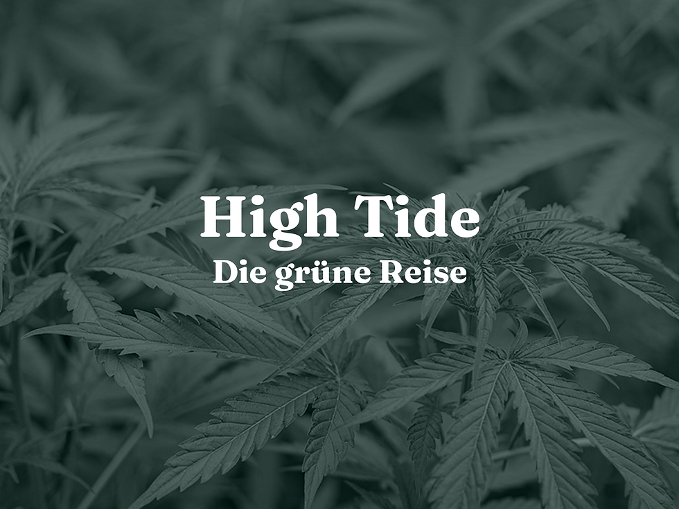 High Tide Cruise 