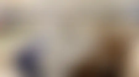 premium furniture in Kirti Nagar