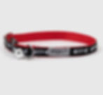 Fish Bone Collar