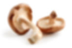 Thumbnail: Shiitake Mushrooms