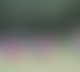 4.Spieltag  SV 04 Groß Laasch – SG Redefin 66 4 : 0