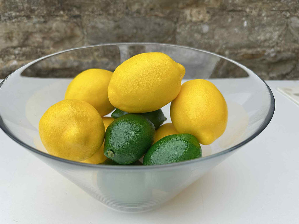 12pcs Artificial Lemons & Limes – Realistic Faux Fruit for Decoration or Display