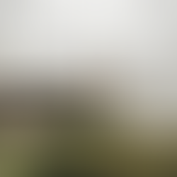 Best Things to Do in San Francisco: Iconic Views, Hidden Gems & First-Timer Favorites