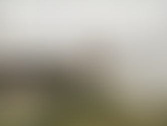 Best Things to Do in San Francisco: Iconic Views, Hidden Gems & First-Timer Favorites