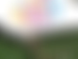 全方位指南:企業教練核心能力與ESG及聯合國可持續發展目標(SDGs)💡🌍🚀
