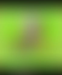 Novidades literárias 2026