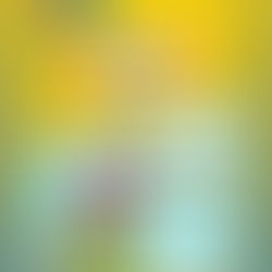 Volta às aulas com livros da escritora Angélica Rizzi