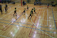 DSC_1156.JPG