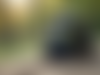 Essential Gear and Tips for Your First Day of Paintball Adventure