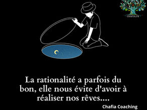 Être rationnel ou ne pas être rationnel ? telle est la question !