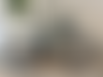 Custom Specialized Epic World Cup - NICA Race Bike