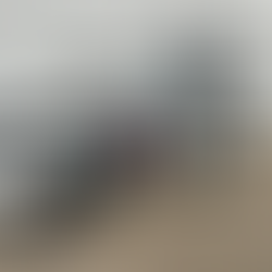 Custom Specialized Epic World Cup - NICA Race Bike