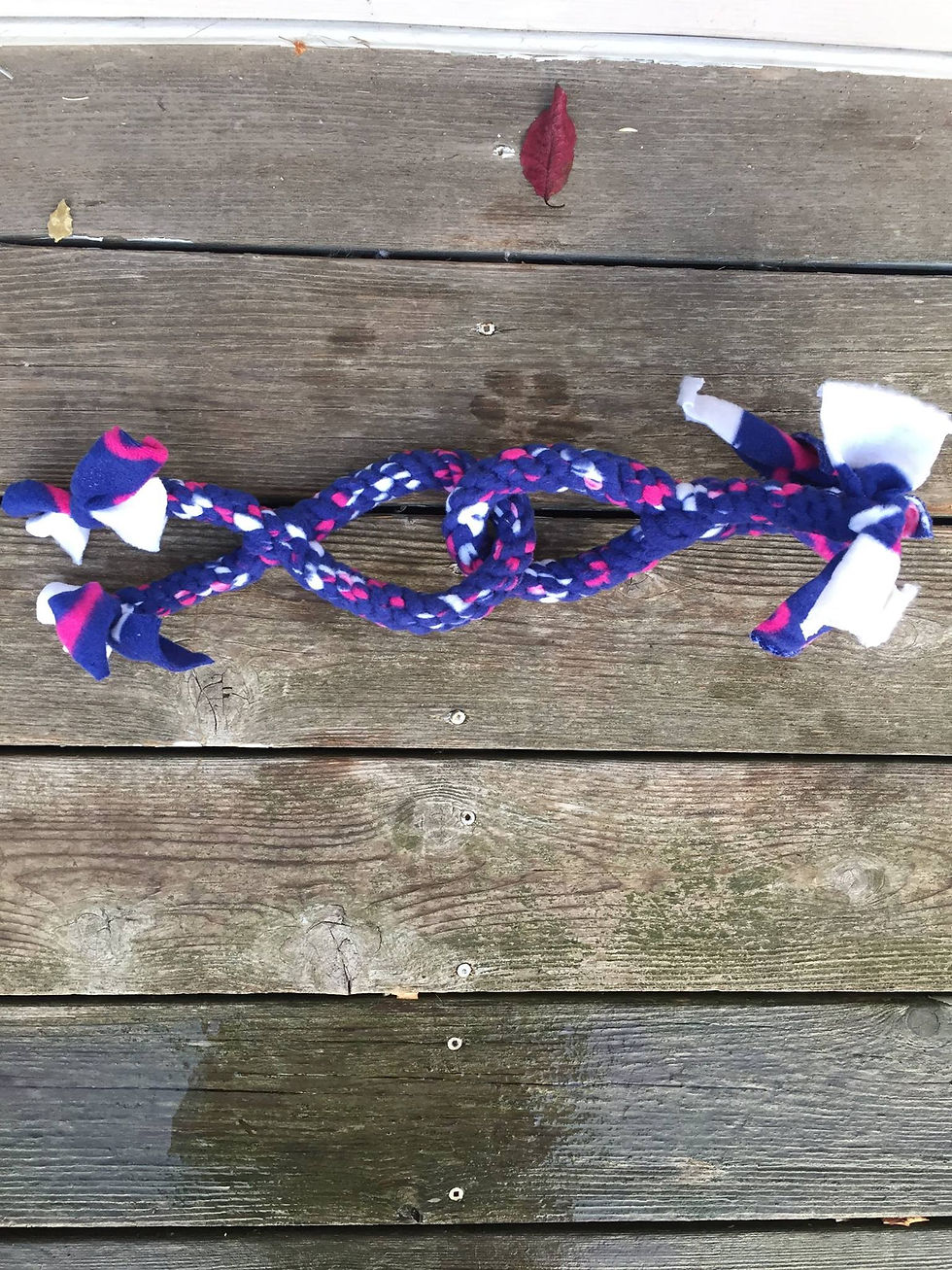 Thumbnail: Dog Toys