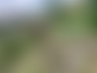 03. August 2026