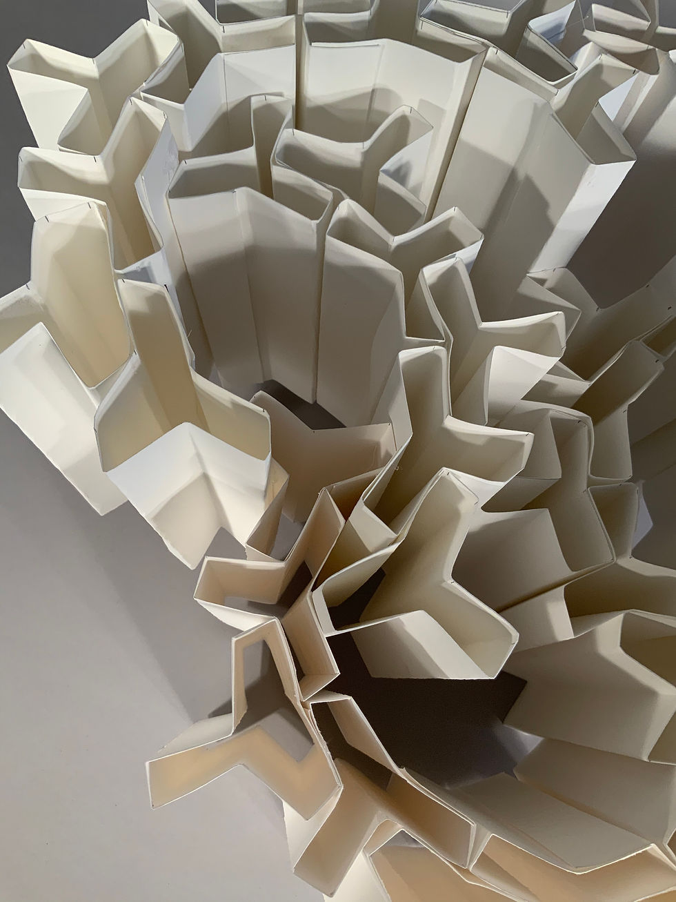 DA67C3F3-5252-489B-A6AE-61E0B16EB300