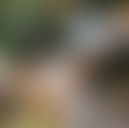 Personal Space - Our most sacred boundary