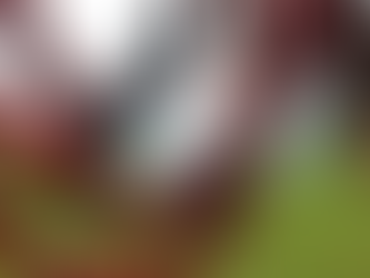 Women of Note - Claire Lamouroux