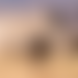 Thick Skin and the Panic Room: 