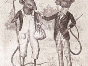 Country Mice in Paris..