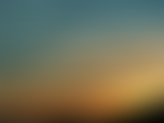 Field Notes - Flights of Fancy - Geese